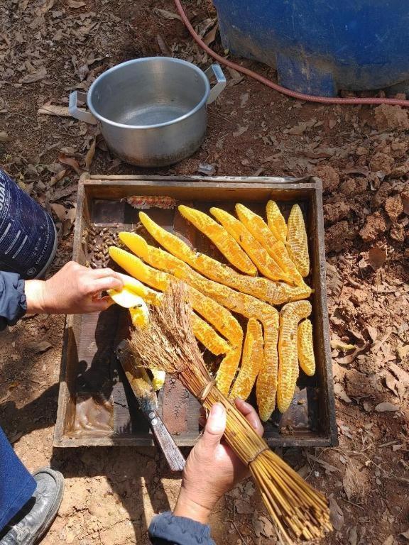 Muong Sang Farmstay モクチャウ エクステリア 写真