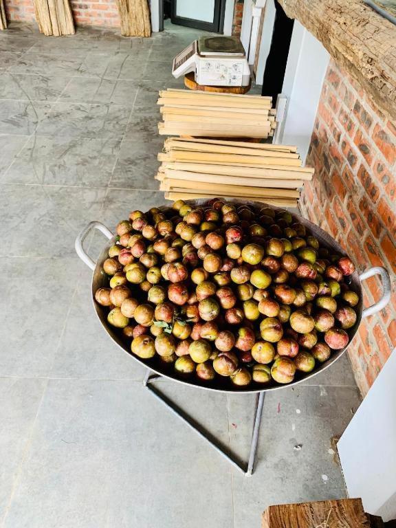 Muong Sang Farmstay モクチャウ エクステリア 写真