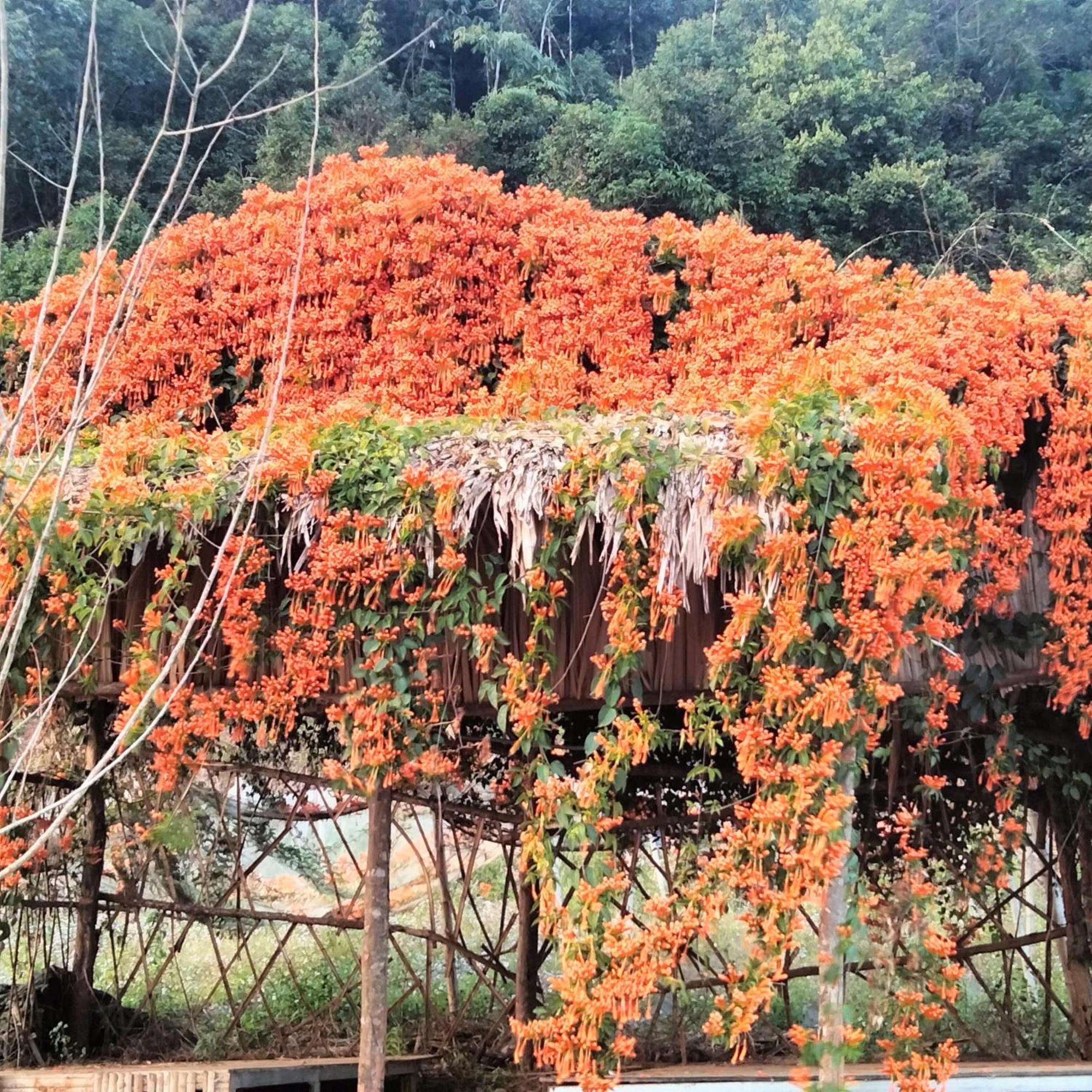 Muong Sang Farmstay モクチャウ エクステリア 写真