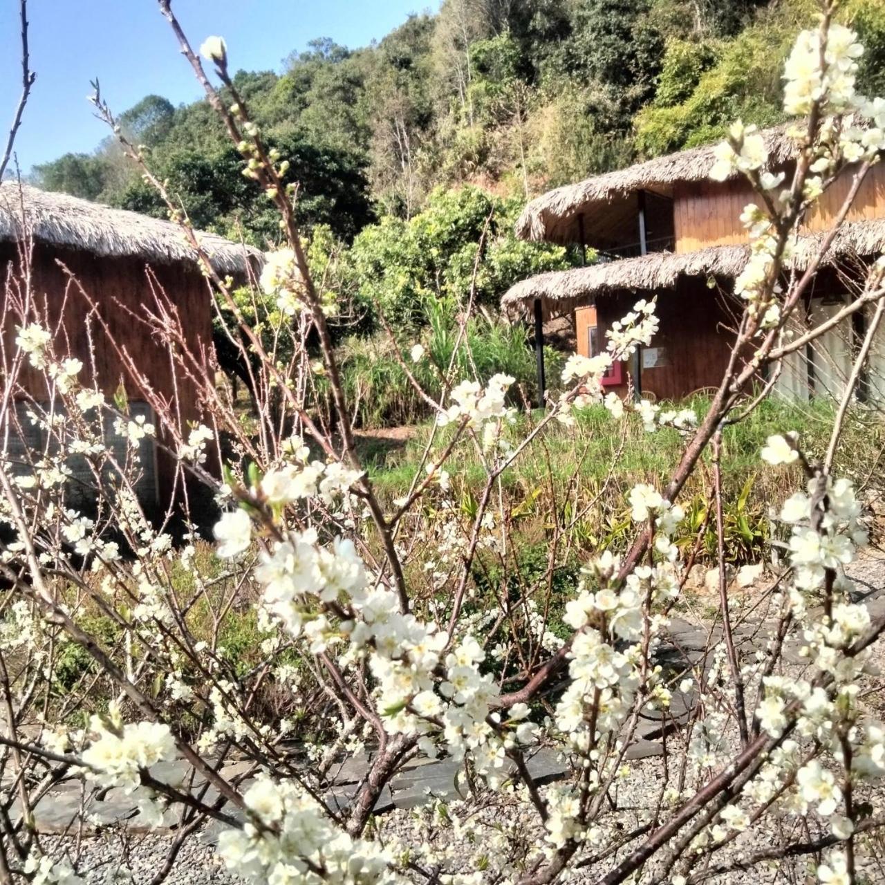 Muong Sang Farmstay モクチャウ エクステリア 写真